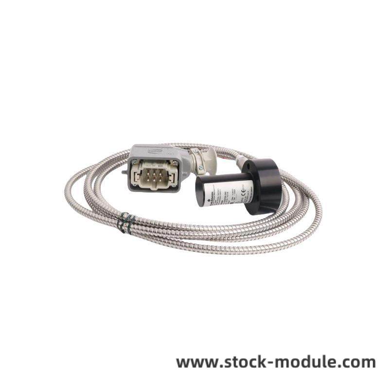 emerson_ce4001s2t2b4_3.jpg EMERSON CE4001S2T2B4 Advanced Control Module