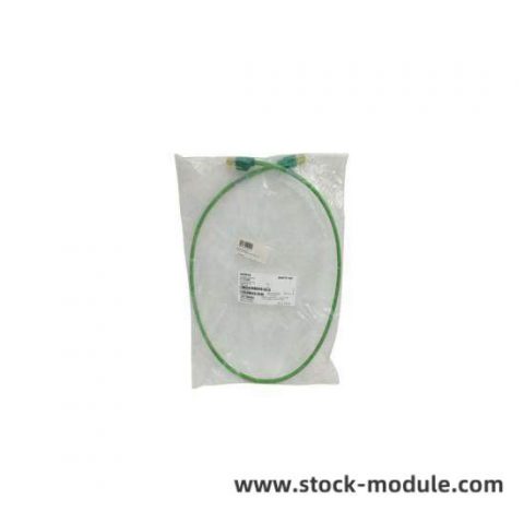 Siemens SMP-E217 Industrial Control Module