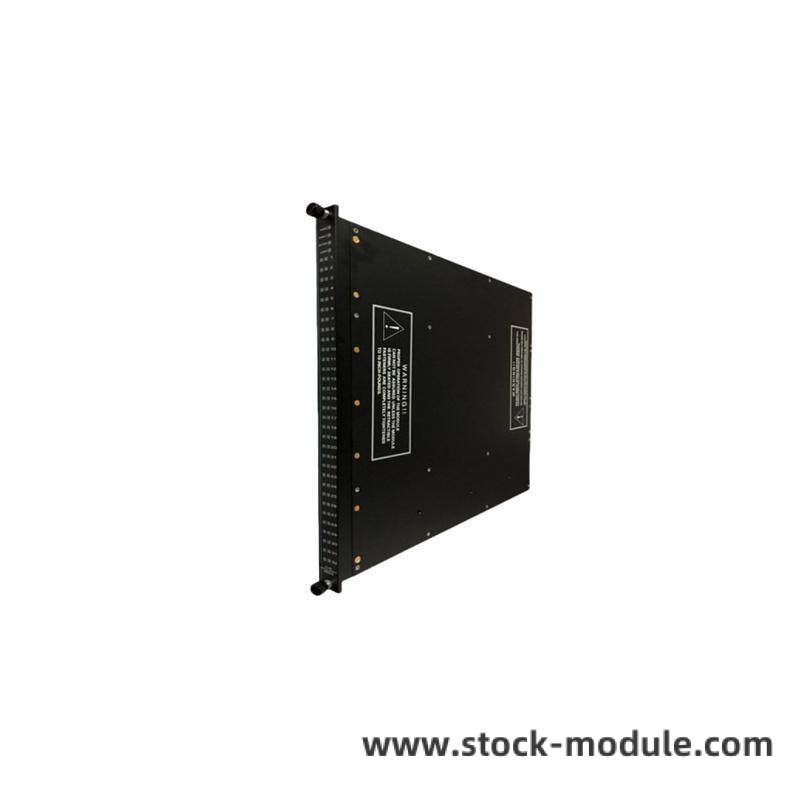 weistinghouse_1c31125g02_2.jpg WESTINGHOUSE 1C31125G02 Digital Output Module